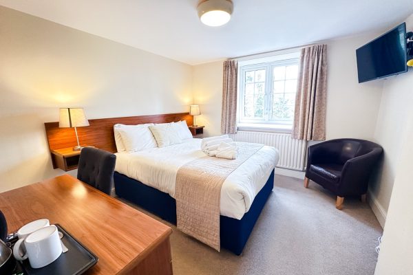 WhatsApp Image 2026-02-13 at 11.45.36